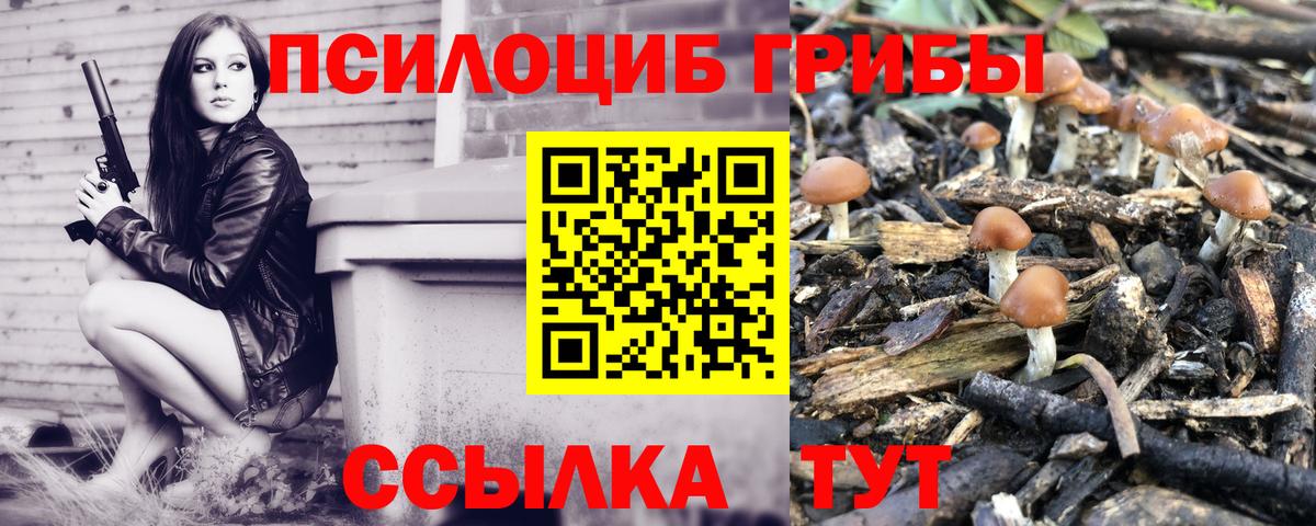 Ачинск  Галлюциногенные грибы MAGIC MUSHROOMS  Вход с VPN 