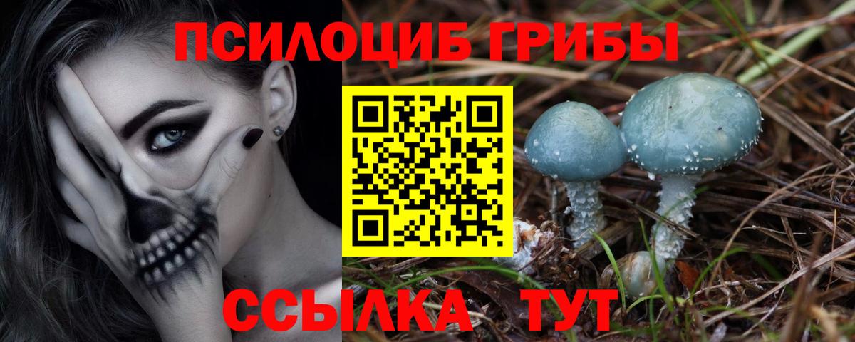 Псилоцибиновые грибы мицелий Ачинск
